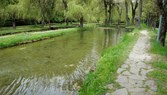 Река Альма Форелевое хозяйство